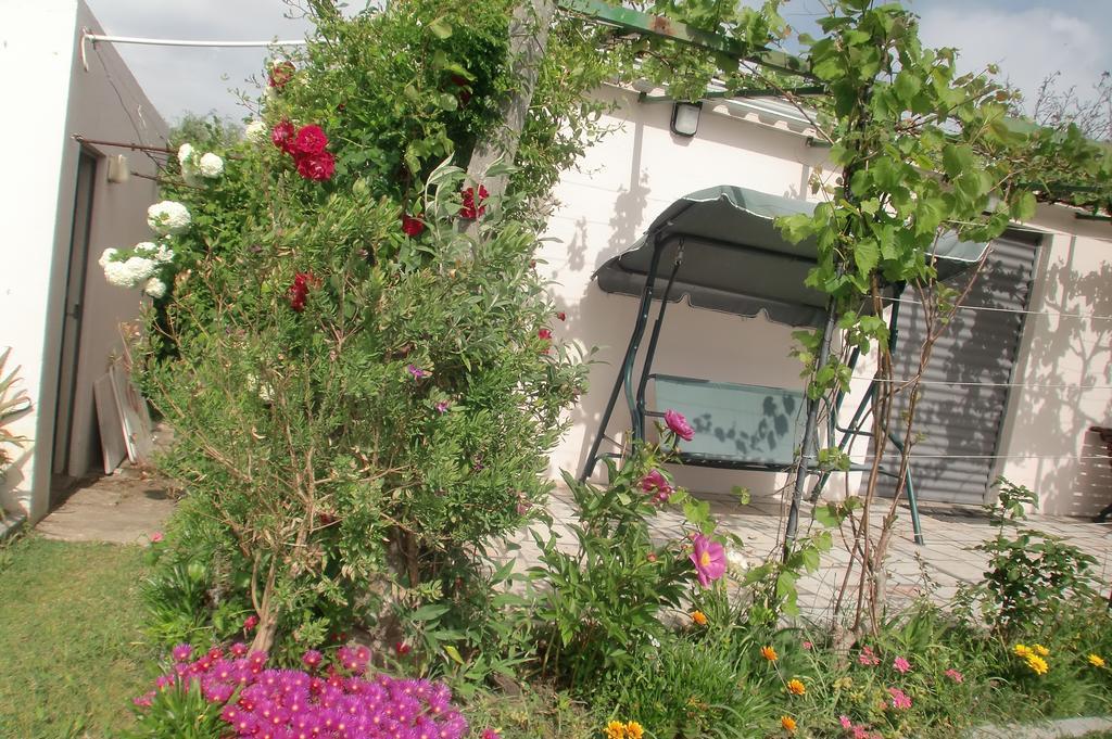 Quinta Da Harmonia Apartment Azeitao Exterior foto